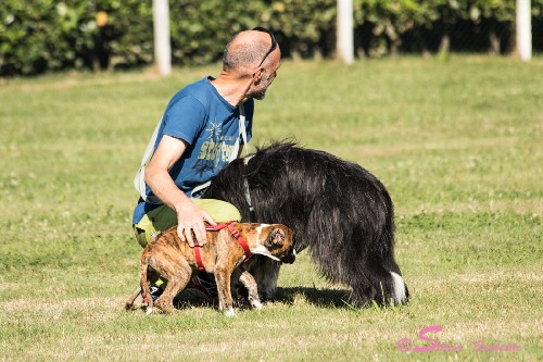 Il carattere del Boxer